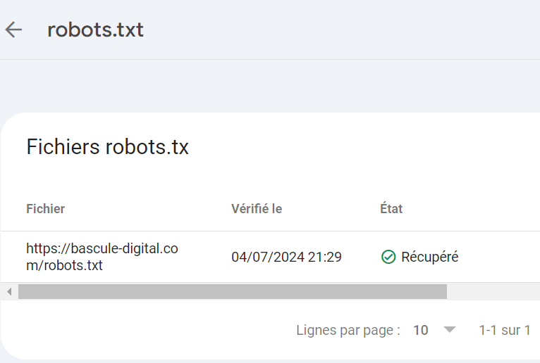 Fichier Robots.txt Google Search Console